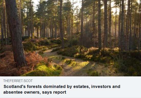 The Scottish Government should buy up, break up and sell off large forestry estates to diversify woodland ownership, experts are recommending.